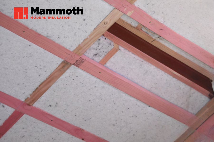 Lower Pitch Roof 900x600